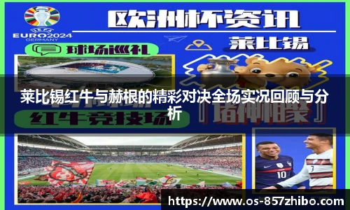 莱比锡红牛与赫根的精彩对决全场实况回顾与分析