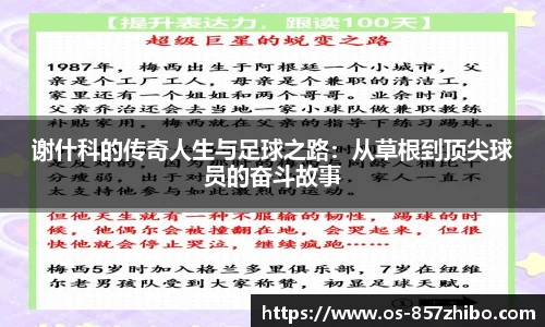 857体育直播间